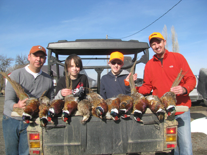 Pheasant Hunts