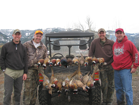 Pheasant-Hunt.jpg