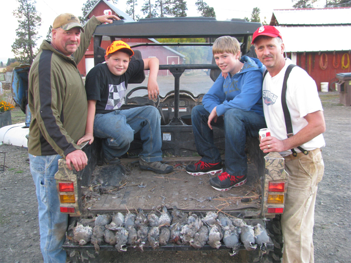 Quail Hunts