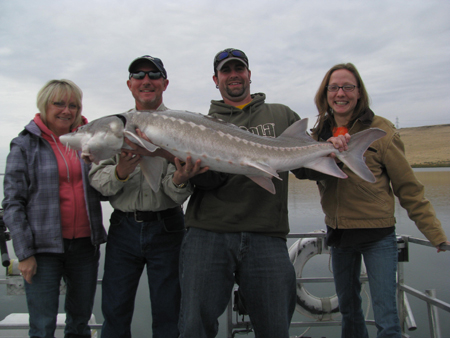 Sturgeon-Fish.jpg