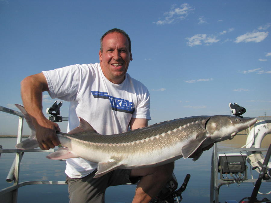 Sturgeon_2.jpg