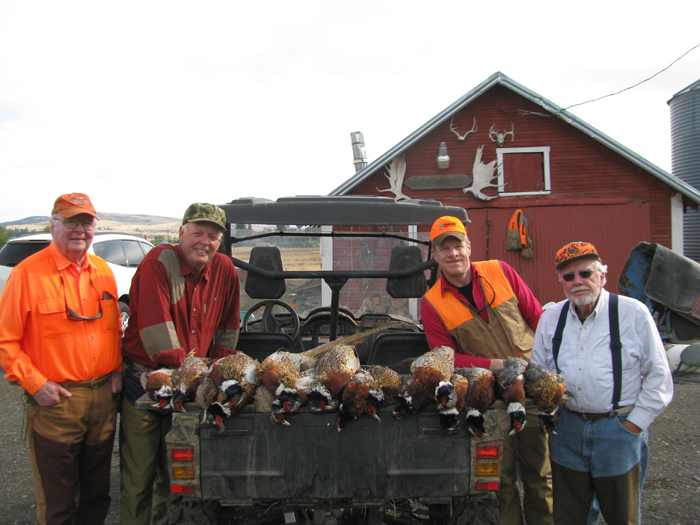 pheasant_10w.jpg