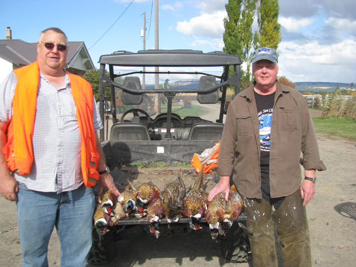 pheasant_29w.jpg